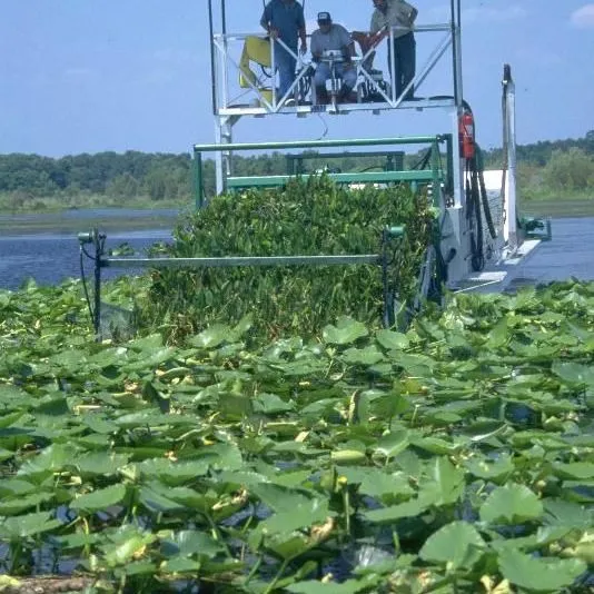 thumbnail for publication: A Beginner's Guide to Water Management—Aquatic Plants in Florida Lakes